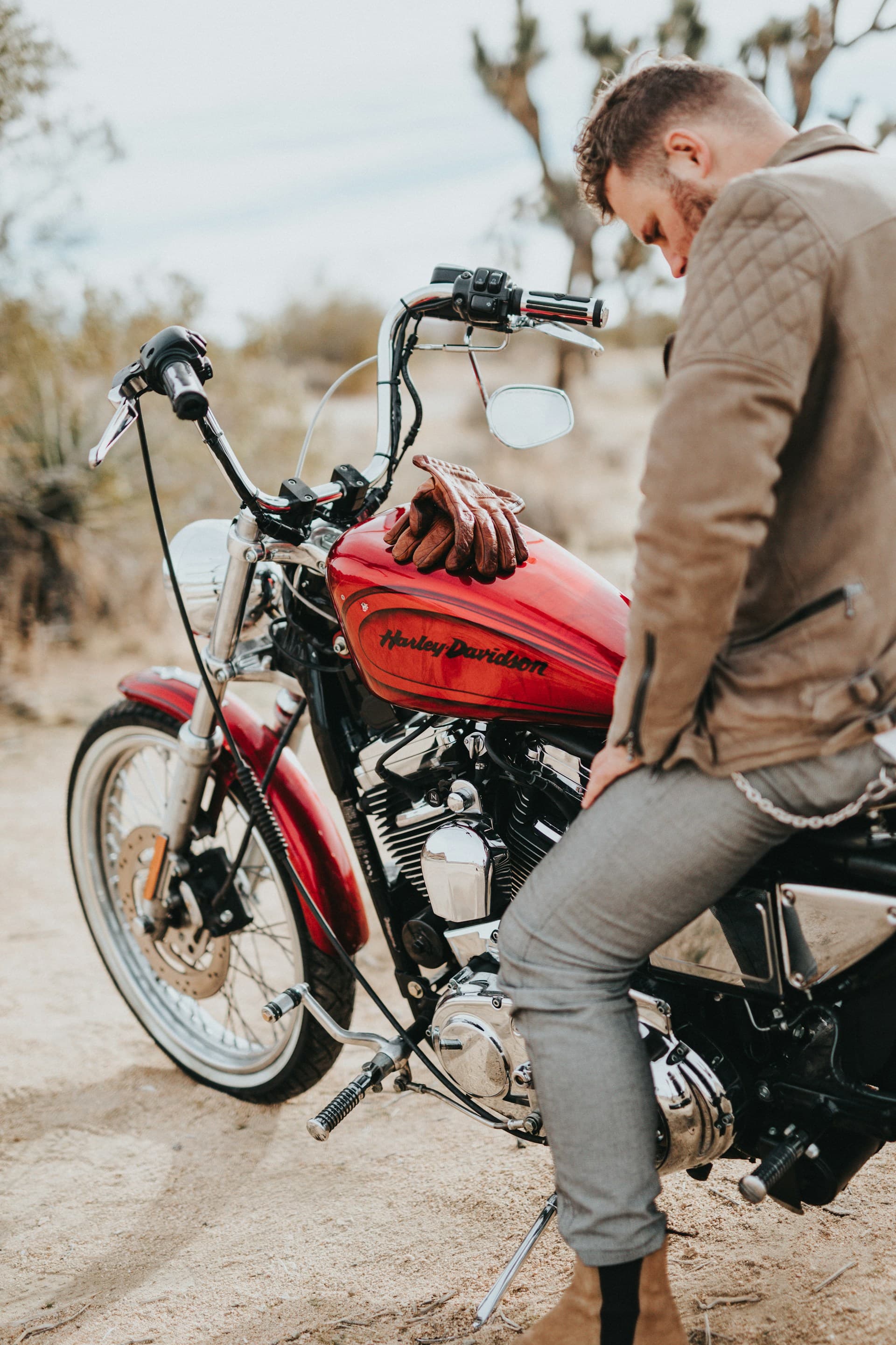 Harley Davidson